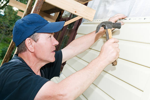 Best Historical Building Siding Restoration  in Wardsville, MO