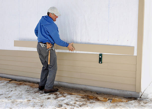 Best Brick Veneer Siding  in Wardsville, MO